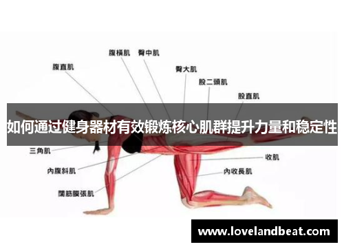 如何通过健身器材有效锻炼核心肌群提升力量和稳定性